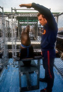 Sea Lion Trainer